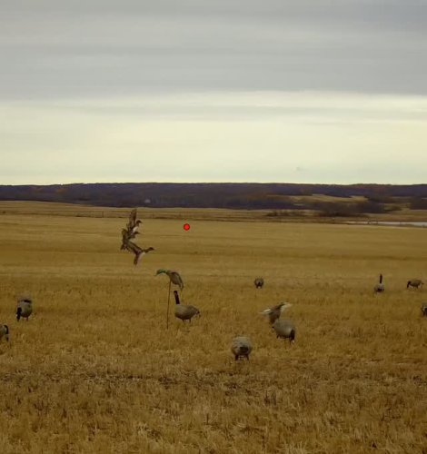 Video post from northernskiesoutfitters.