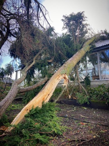 Carousel post from potager_garden.