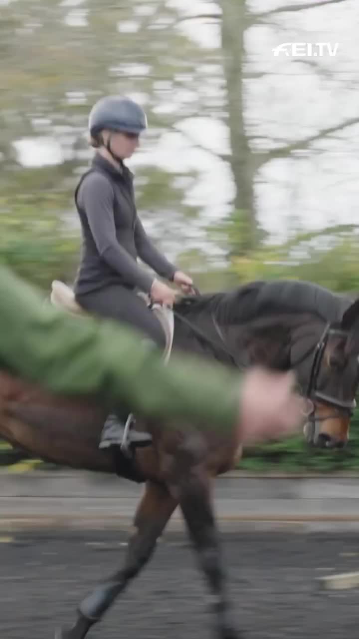 Video post from fei_global.