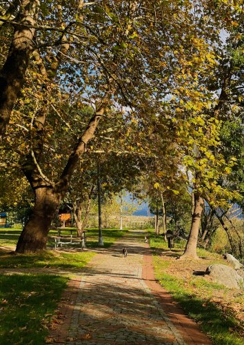 Photo post from beyondvisioncenter.