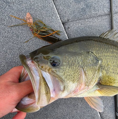 Photo post from garrettscustoms.