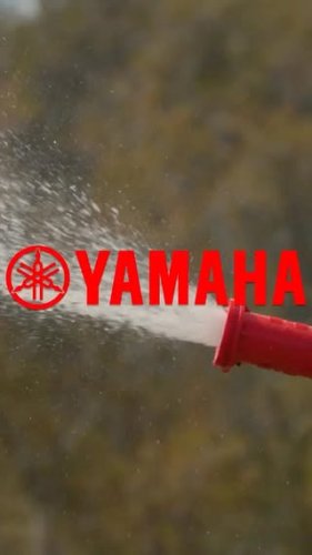 Video post from bertsmegamall.