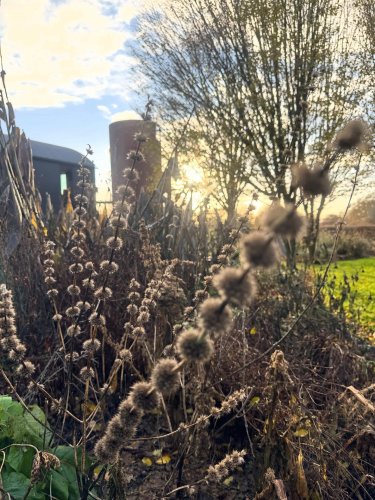 Carousel post from sussexprairies.