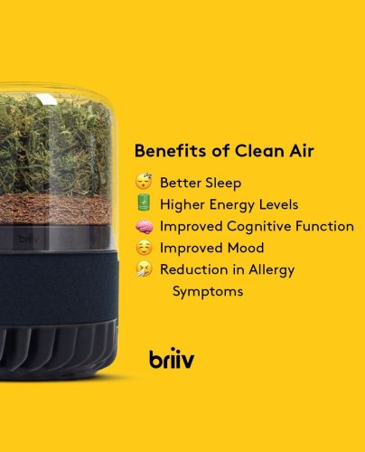 Photo post from briiv.natural.