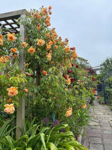Carousel post from gardenhousebrighton.