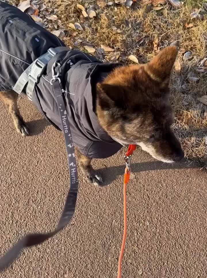 Carousel post from hurttakorea.