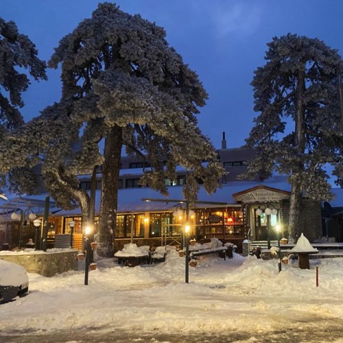 Photo post from troodoshotel.