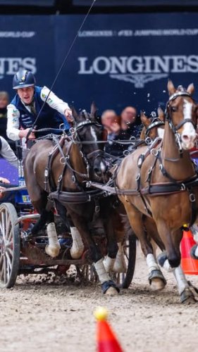 Video post from fei_global.