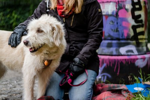 Photo post from bramleynewspaper.