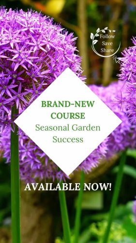 Video post from discovering_gardens.