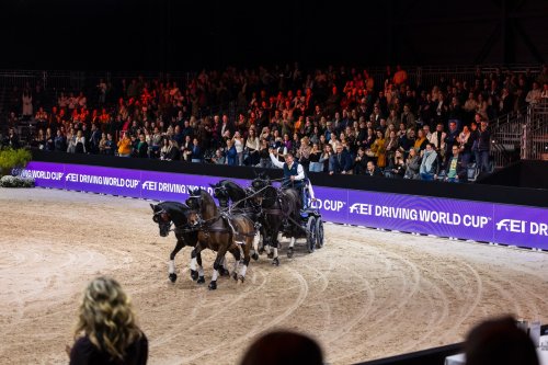 Carousel post from fei_global.