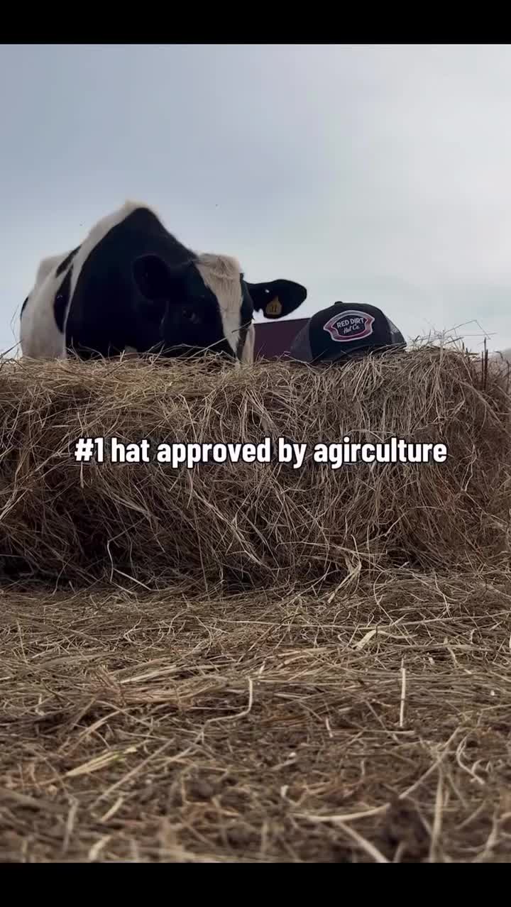 Video post from reddirthatco.