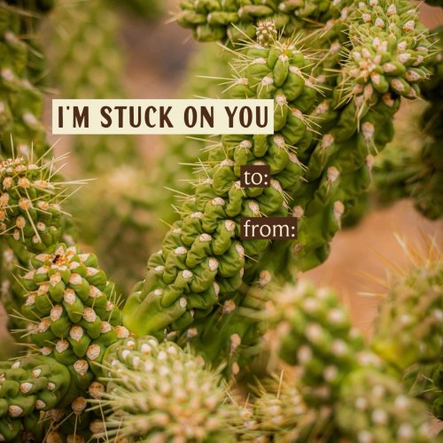 Carousel post from visittucson.