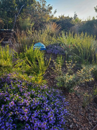 Photo post from binchys_garden.