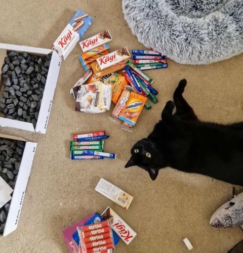 Photo post from swiss_food_box.