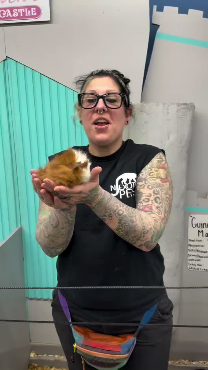 Video post from njexoticpets.