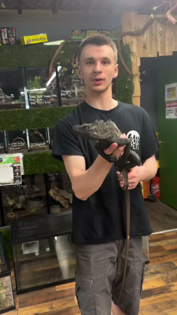 Video post from njexoticpets.