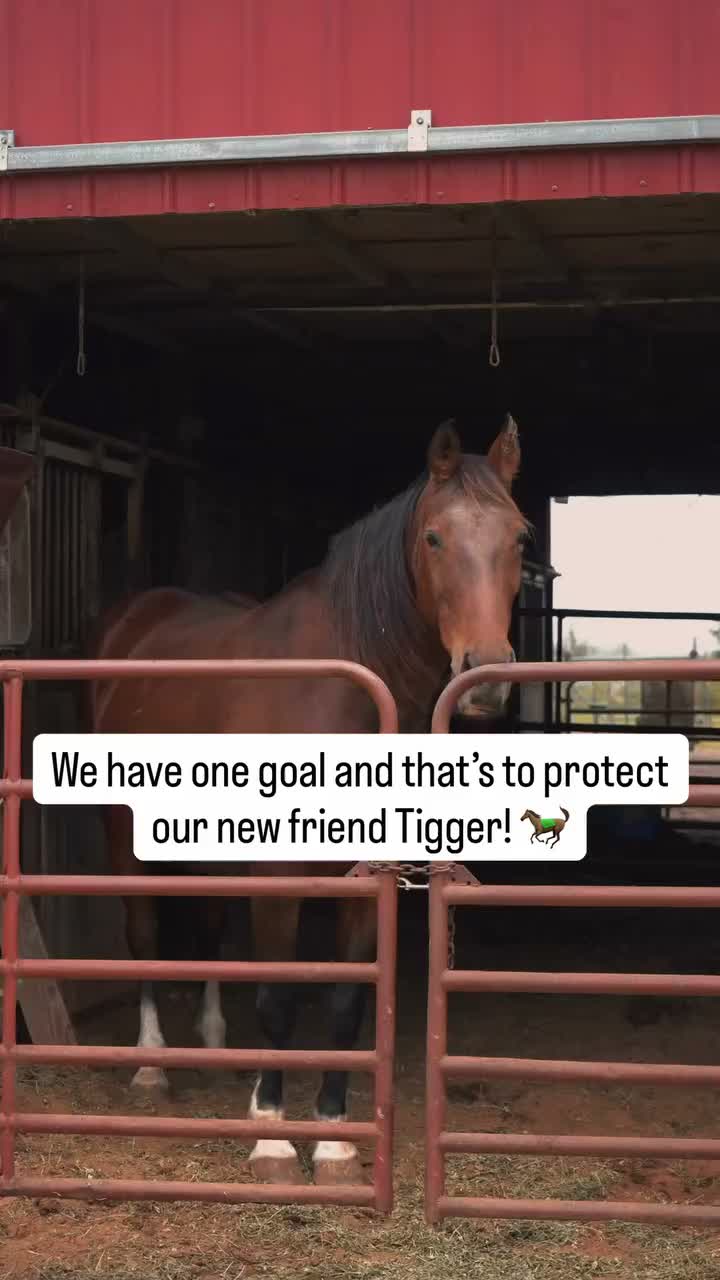 Video post from loosianafenceandpatios.