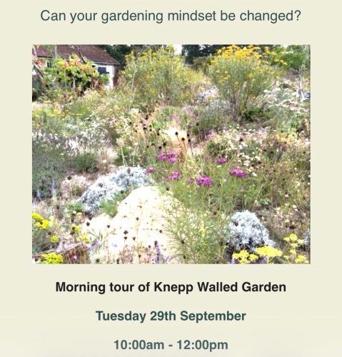 Photo post from gardenhousebrighton.
