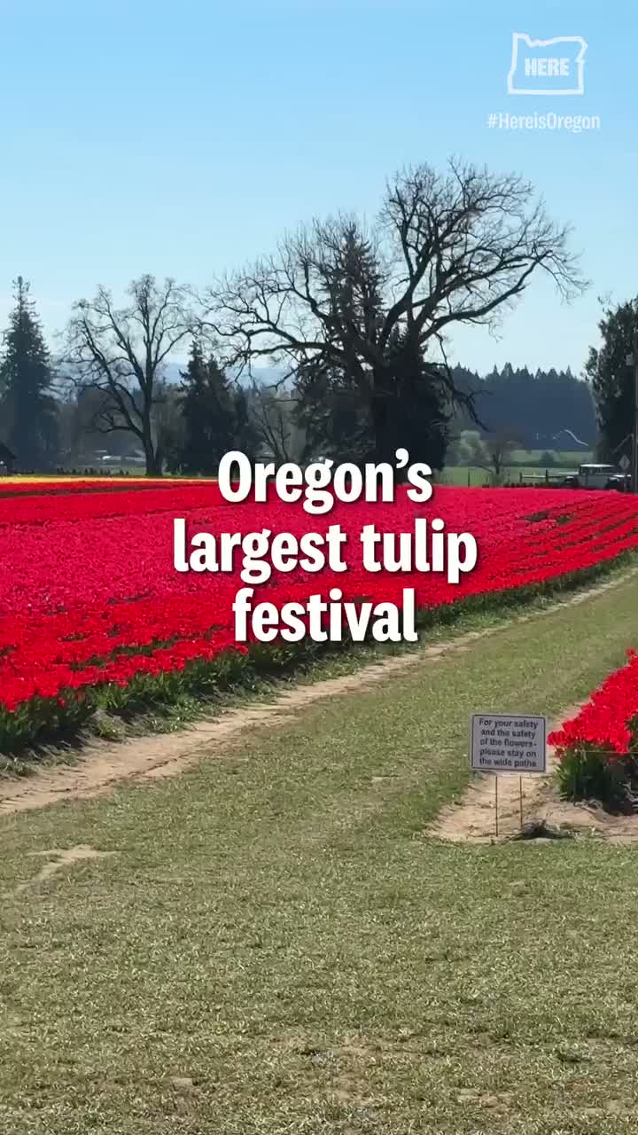 Video post from hereisoregon.