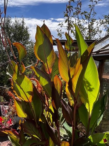 Photo post from gardenhousebrighton.