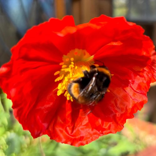 Photo post from gardenhousebrighton.