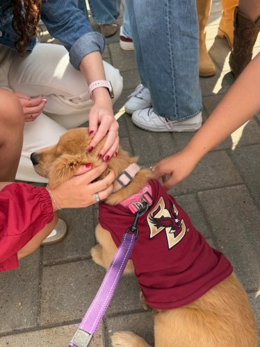 Photo post from bostoncollege.