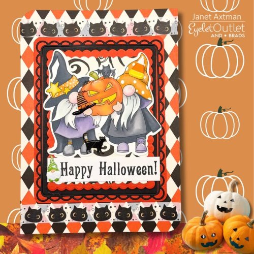 Photo post from Eyelet Outlet.