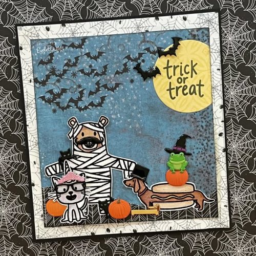 Photo post from Eyelet Outlet.