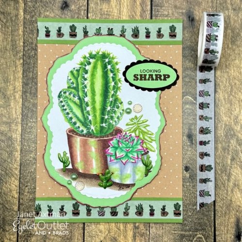 Photo post from Eyelet Outlet.