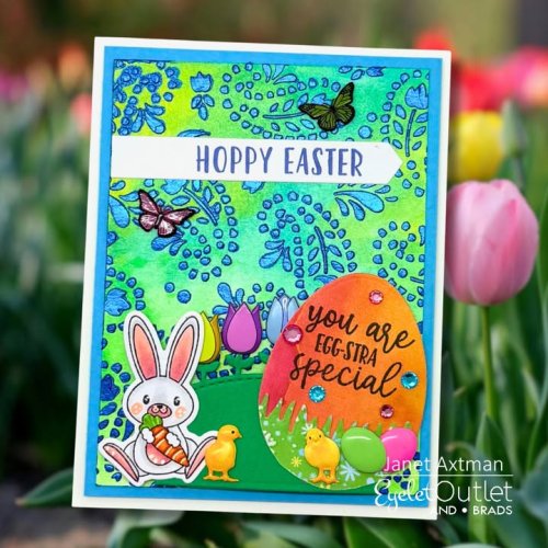 Photo post from Eyelet Outlet.