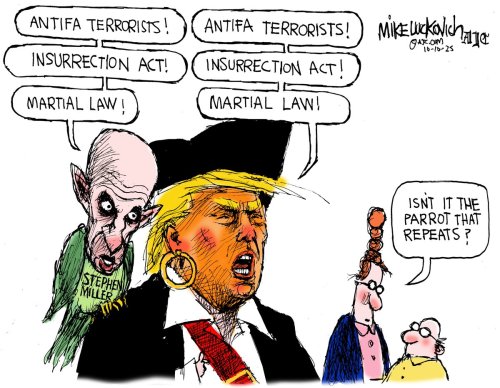 Photo post from @mluckovichajc.