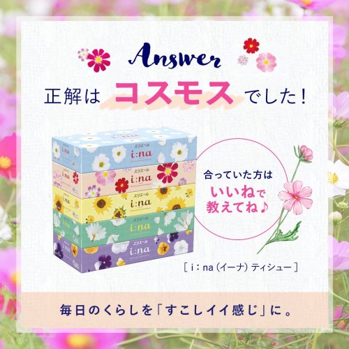 Photo post from @elleairofficial.