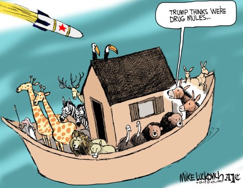 Photo post from @mluckovichajc.