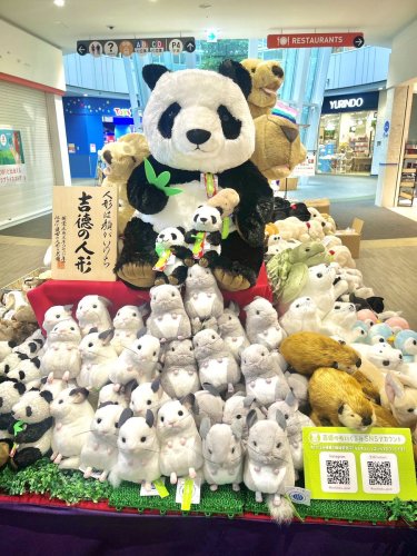 Carousel post from @yoshitoku_plush.