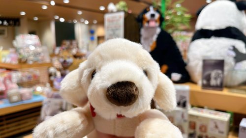 Carousel post from @ystk_official.