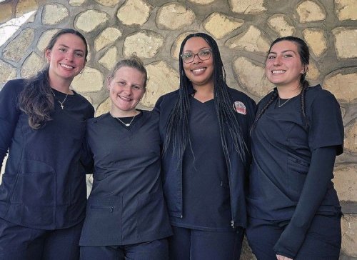 Carousel post from @wittalumni.