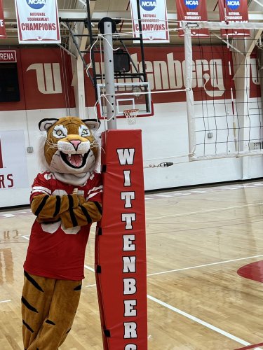 Carousel post from @wittalumni.