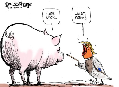 Photo post from @mluckovichajc.