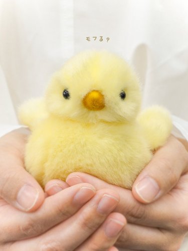 Photo post from @ystk_official.