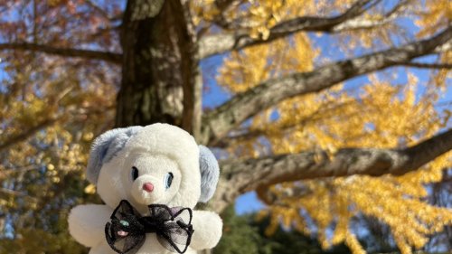 Carousel post from @yoshitoku_plush.