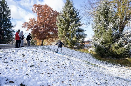 Carousel post from @wittalumni.