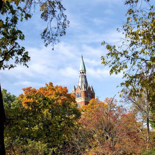 Photo post from @wittalumni.