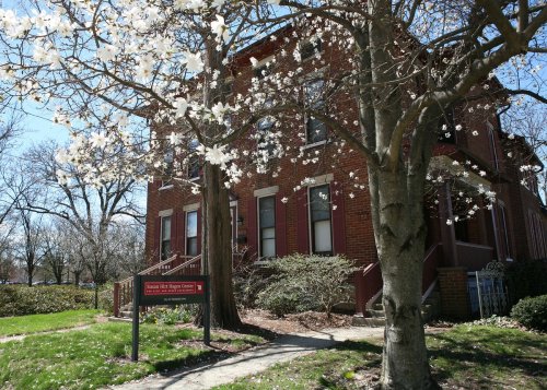 Carousel post from @wittalumni.