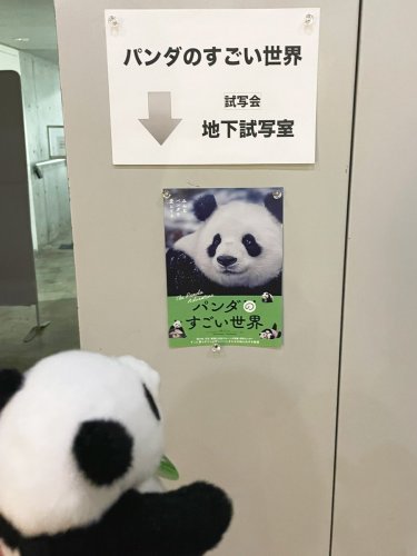 Carousel post from @yoshitoku_plush.