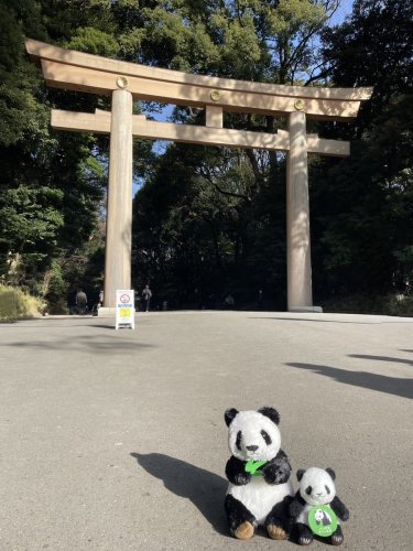 Carousel post from @yoshitoku_plush.