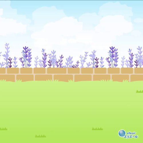 Video post from @elleairofficial.