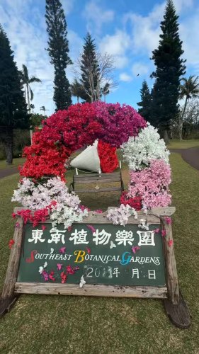 Video post from @yoshitoku_plush.