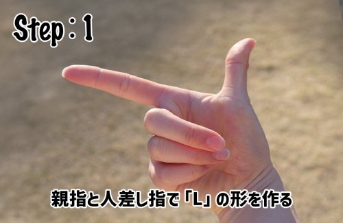 Carousel post from @elleairofficial.