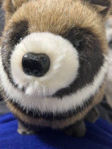 Photo post from @yoshitoku_plush.